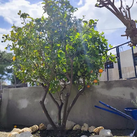 Sea Breeze Stegna Dom wakacyjny